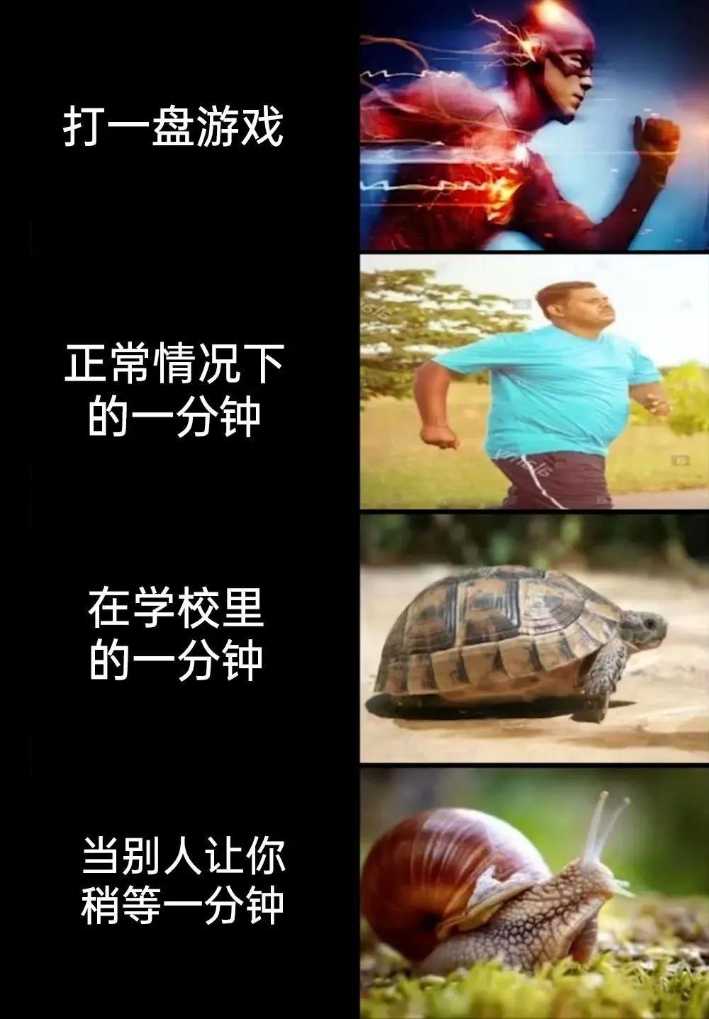 看一遍笑一遍 #万万没想到