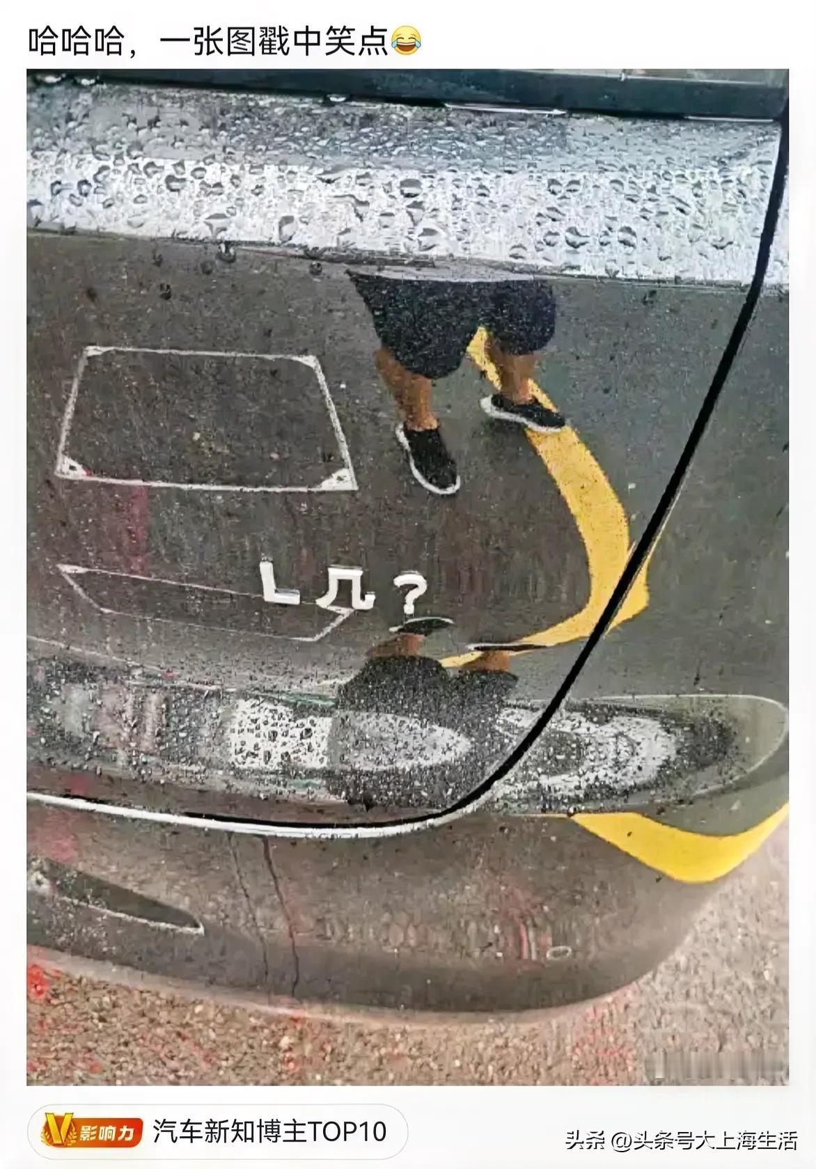 哈哈哈，如果理想L6车主们纷纷把6抠掉，来一出“安能辨我是L几”，岂不是稳赚不赔