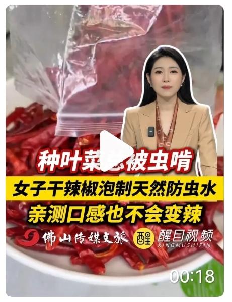 现在有很多人喜欢种点小菜，可是总是有一些小虫子，喷农药又怕不安全，不喷农药吧，虫