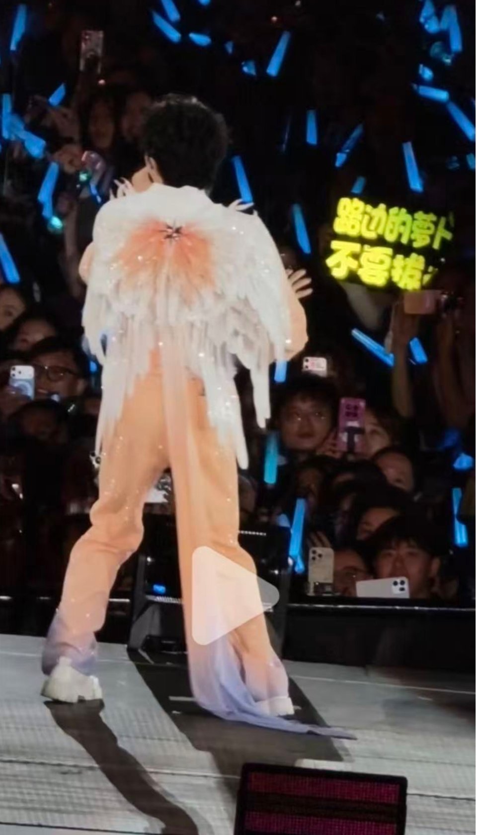 周深周深苏州演唱会 路边的萝卜，不要拔啊哈哈哈哈哈哈哈 
