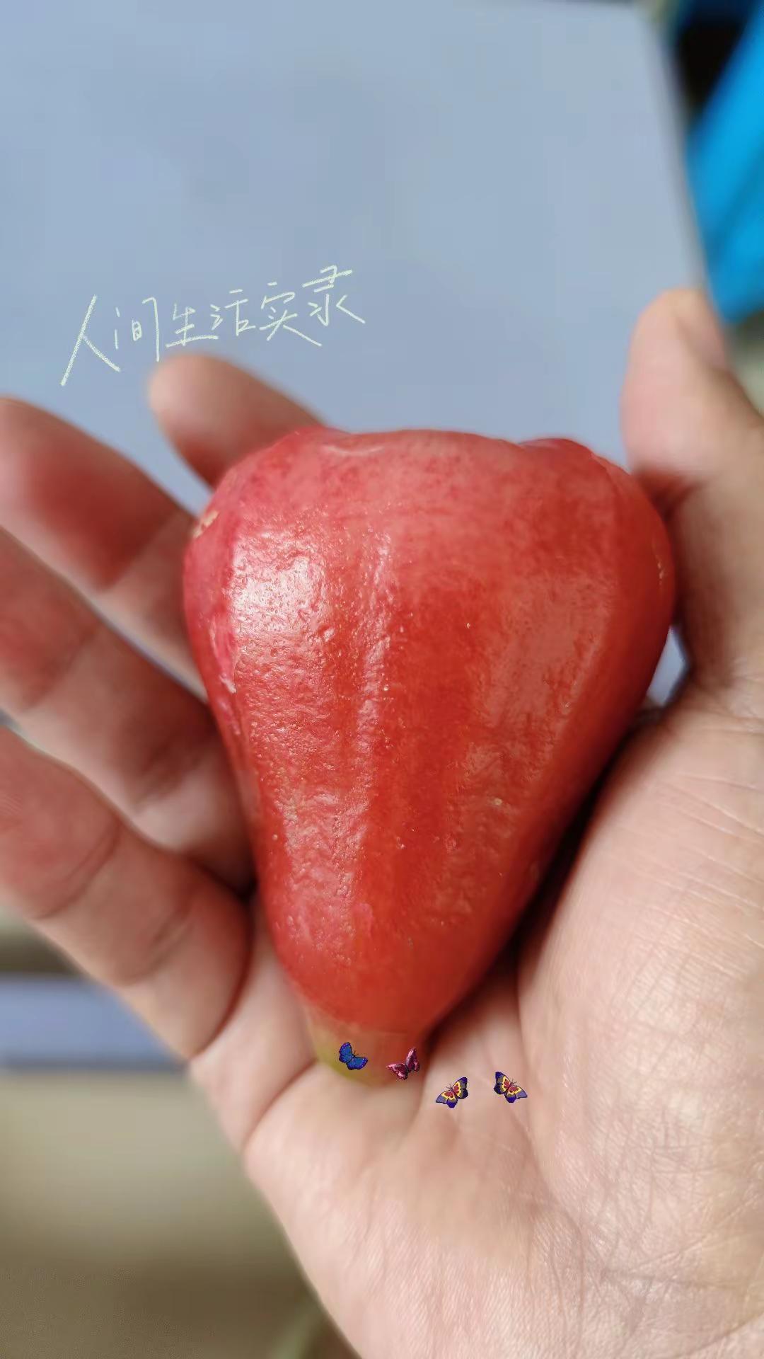 听完你感觉到了什么？