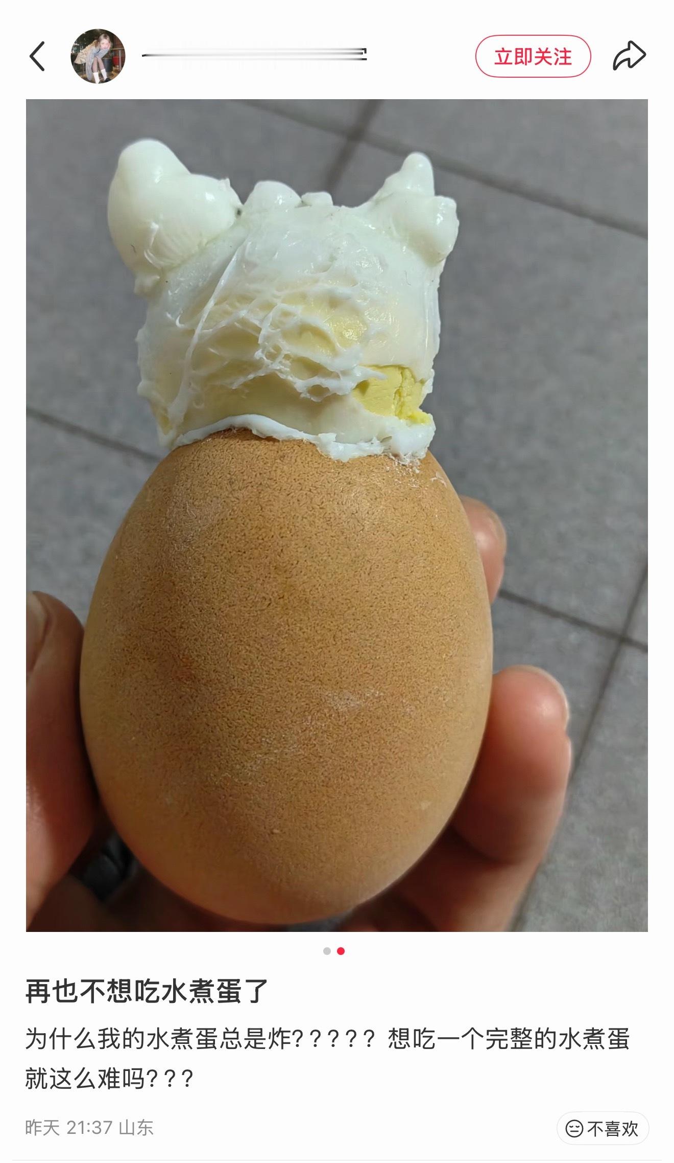 这是把库洛米煮出来了吧 