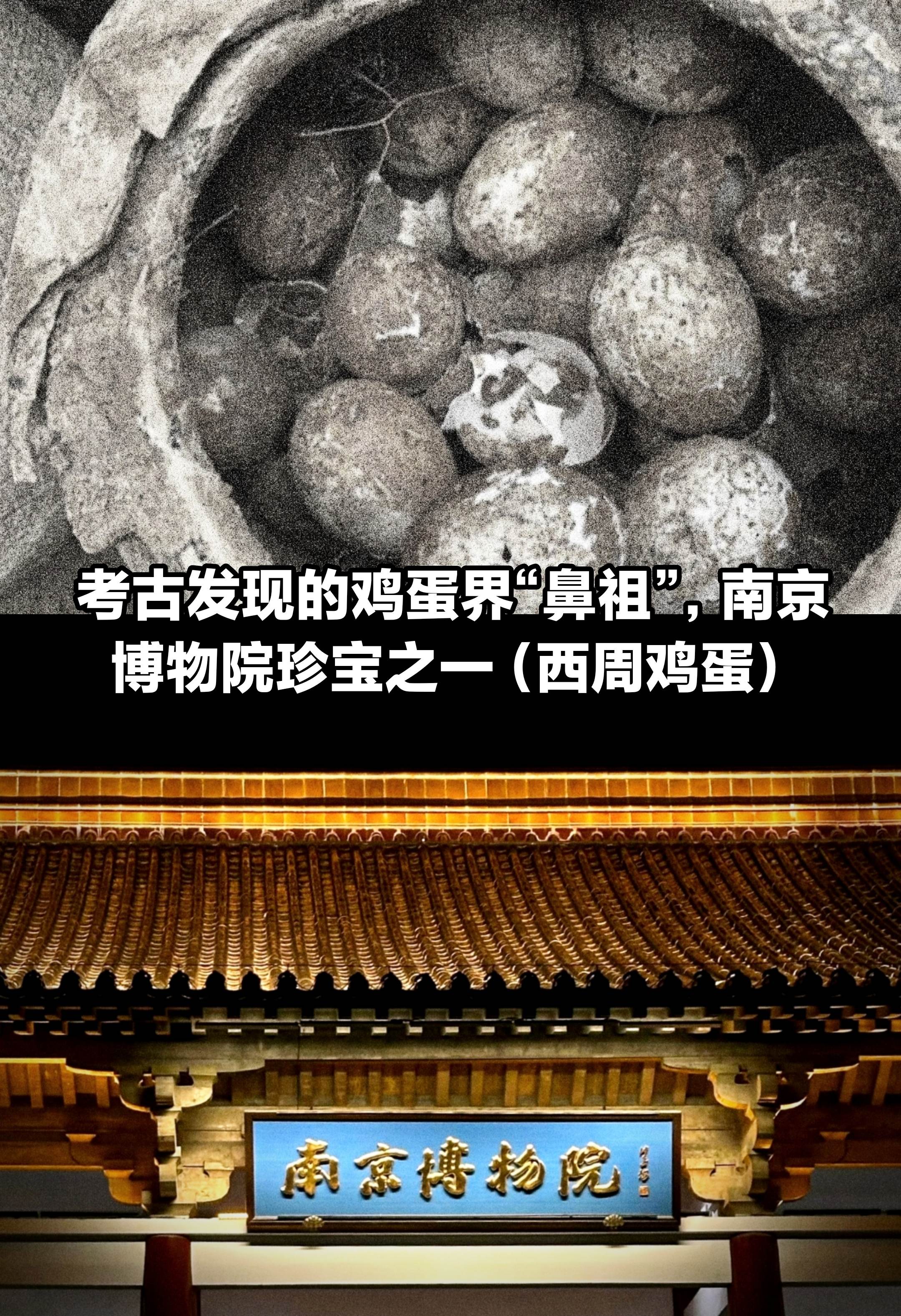 南京博物院的西周鸡蛋，鸡蛋界“鼻祖”！