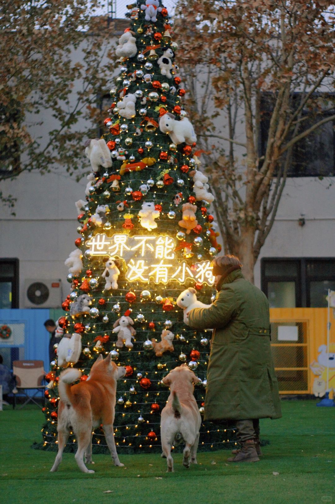 所有美景都抵不过温情