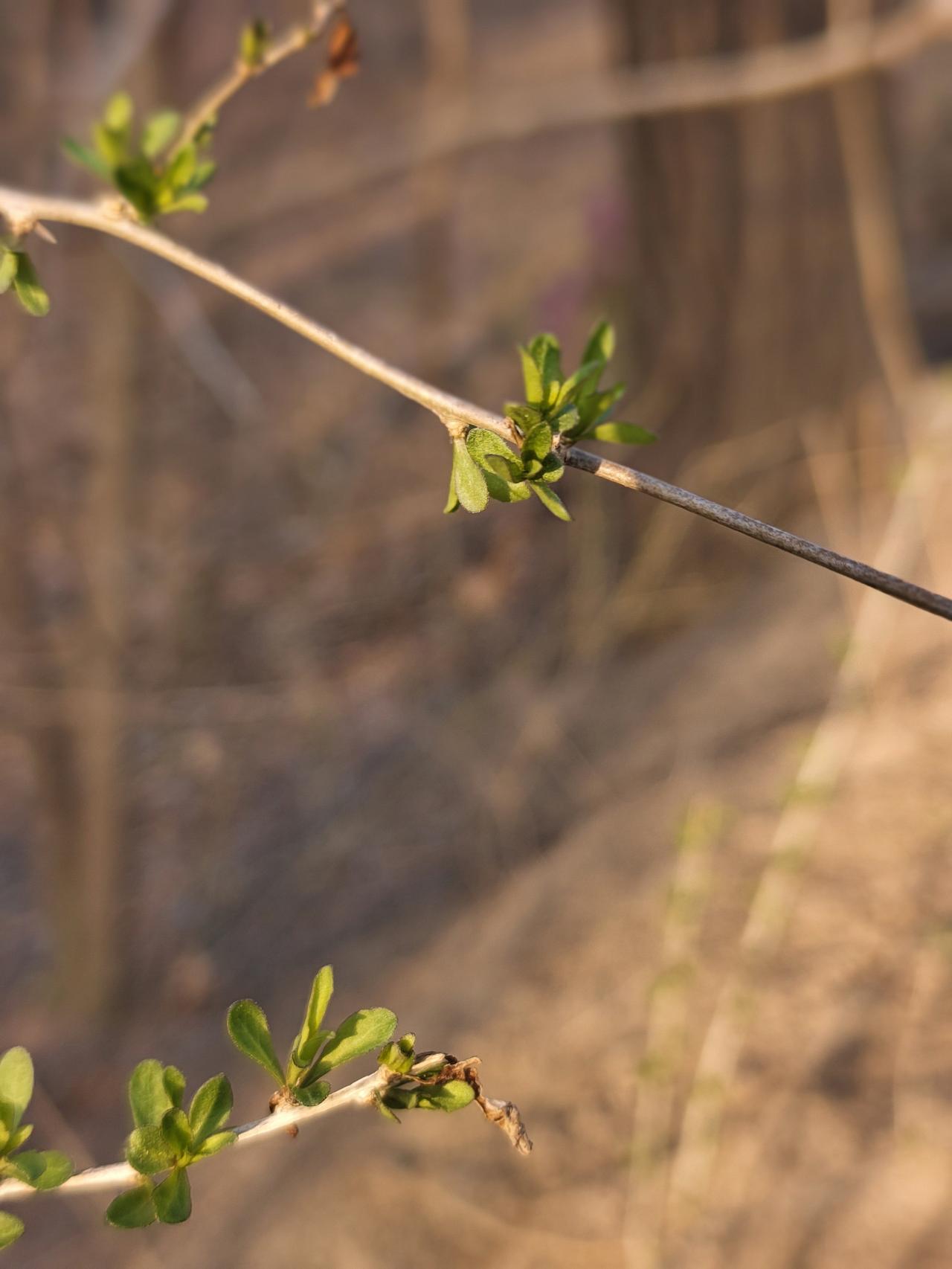 悲观者永远正确 ，乐观者永远前行。
悲观者看待事情都极为透彻，正因为看透了现实无
