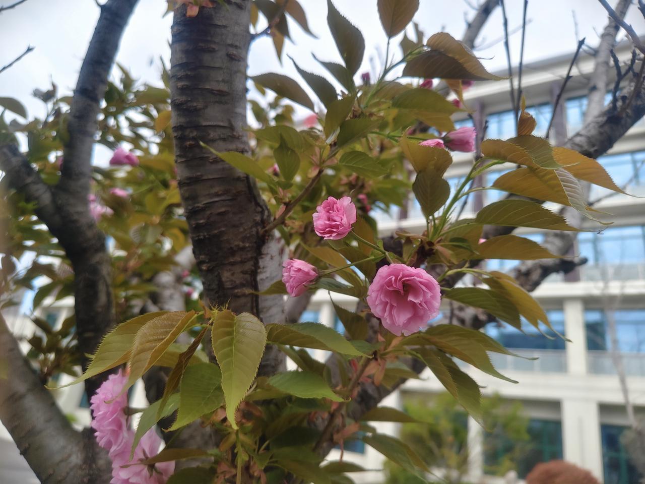 加班这事儿，真的是让人又爱又恨。我之前在一家互联网公司上班，项目赶进度的时候，连