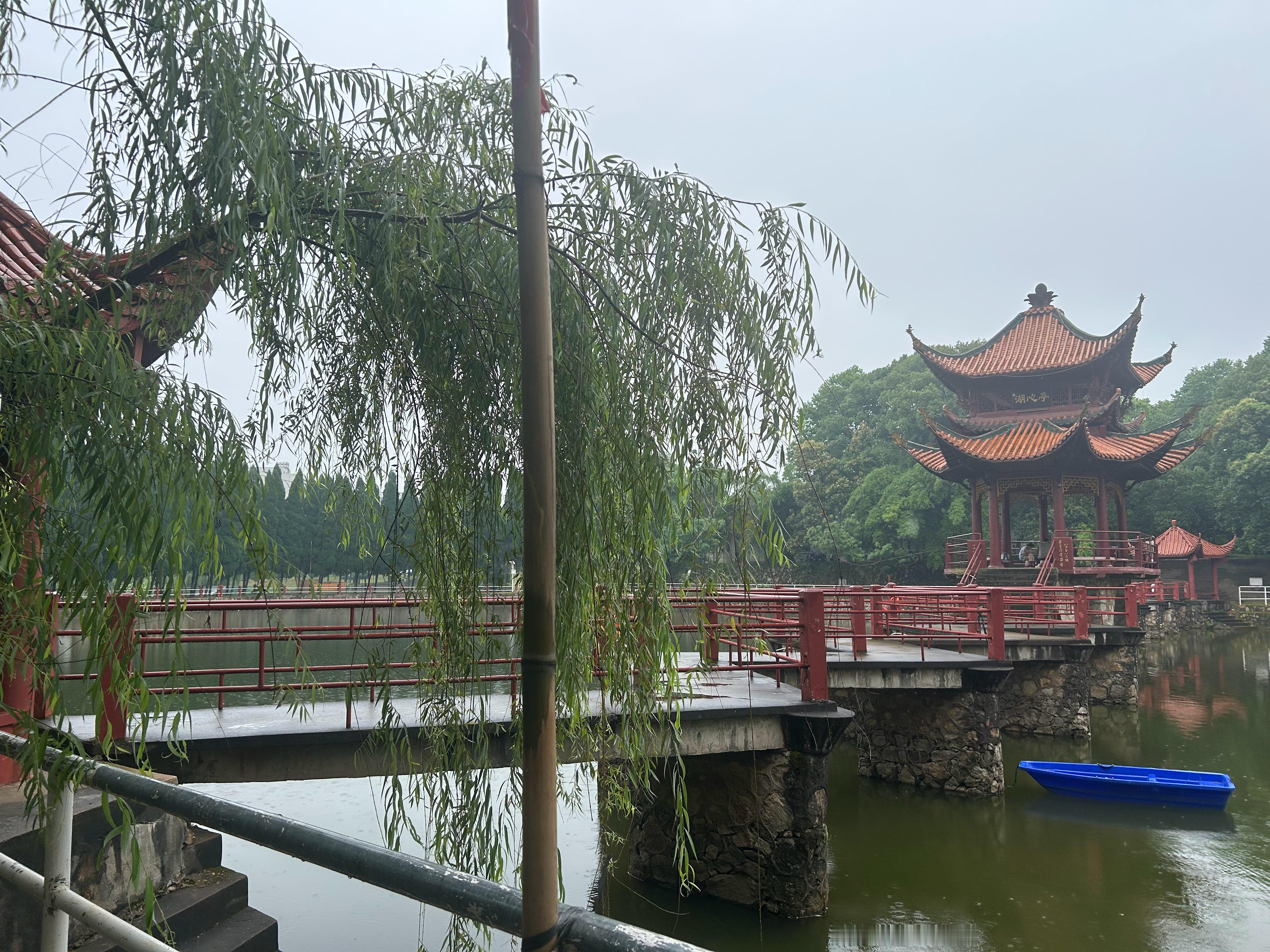 闷热了几天 雨终于下了下来细雨中的湖心亭 别有一番情调吃完午饭 散散步 消消食 