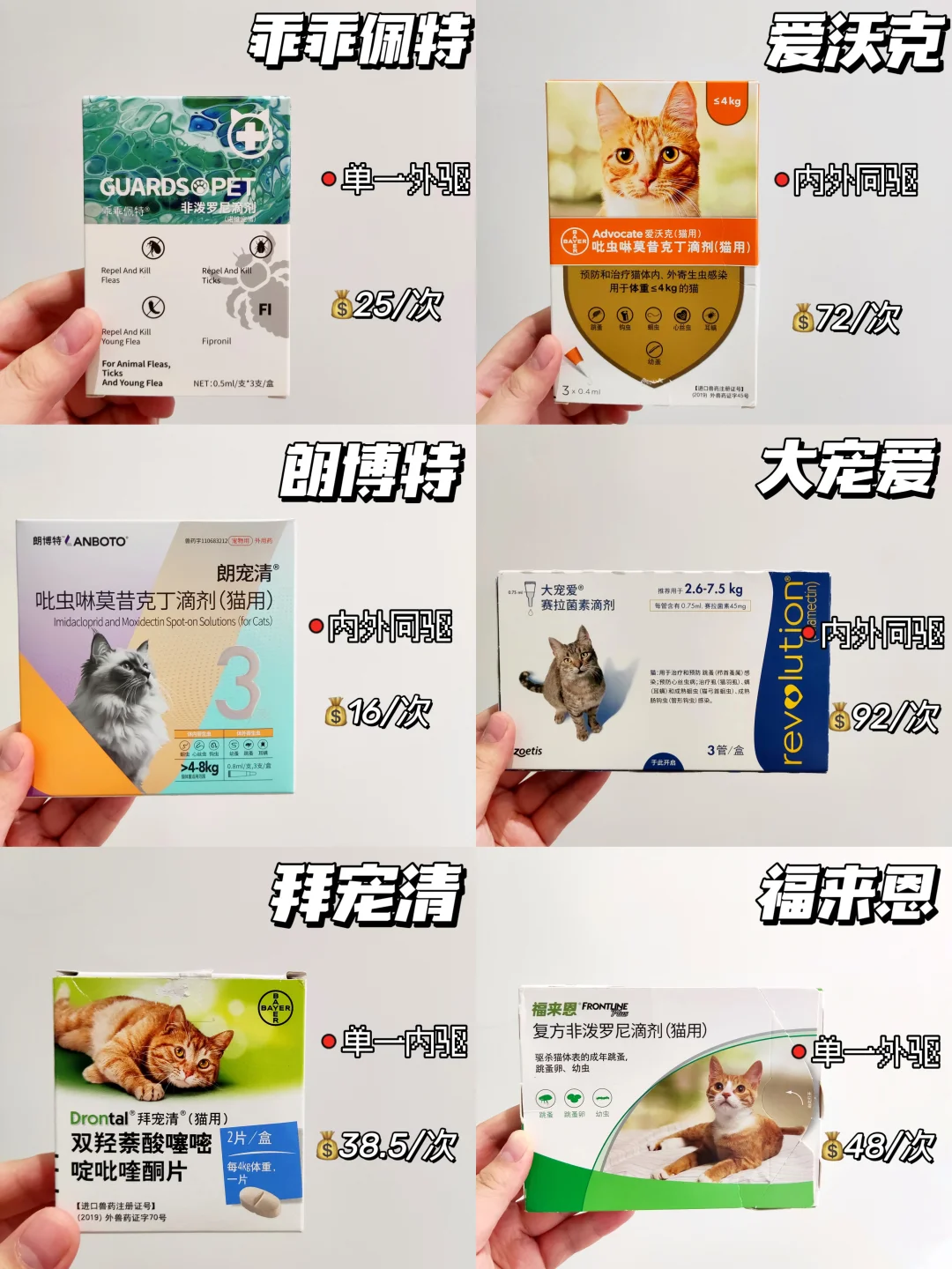 购买猫咪驱虫药不当“怨种”｜手把手教你