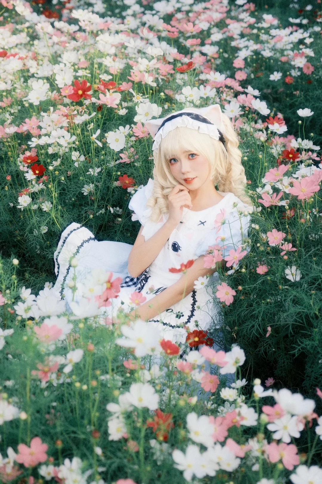 我出不了神山 你带一支格桑花走吧