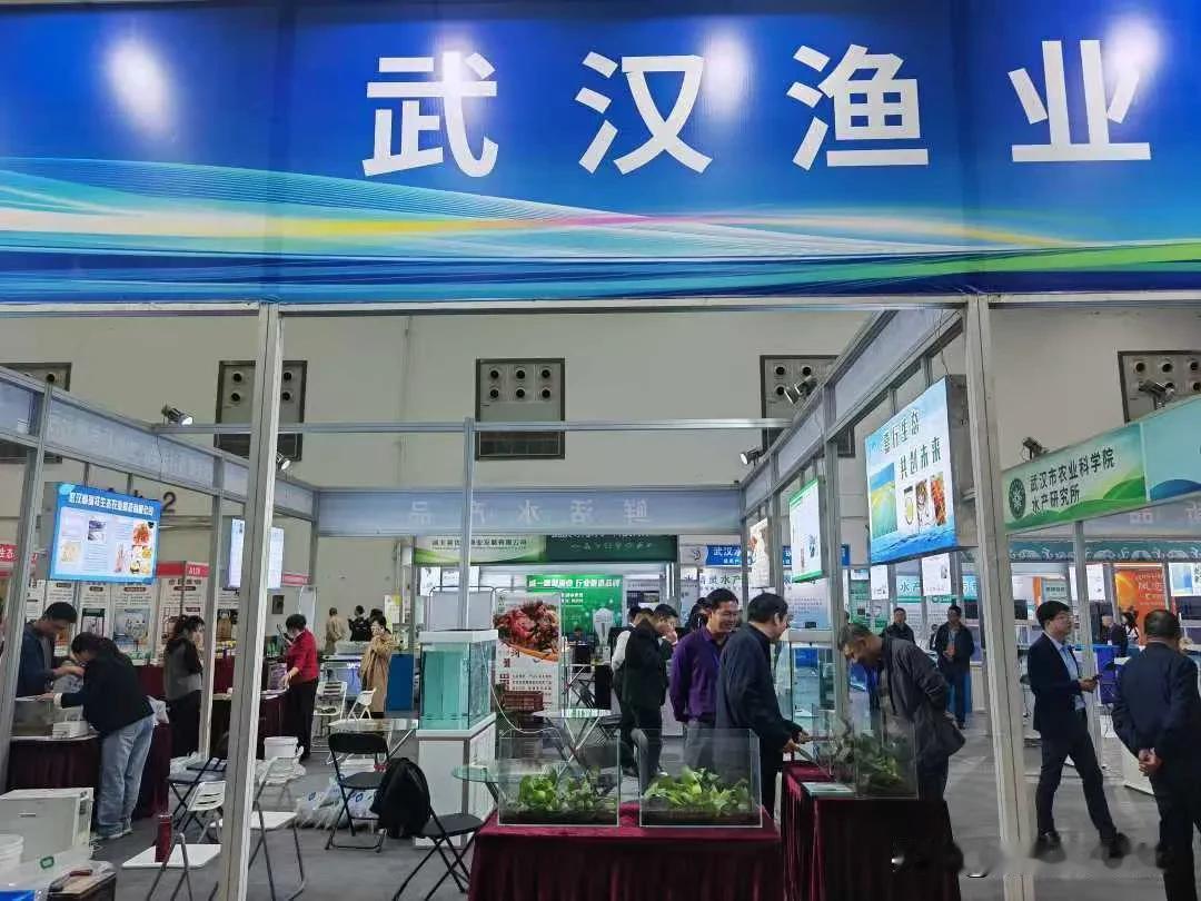 哇，年货盛宴真的太给力了！武汉农博会这次真的是个宝地啊！年货啥都有，想买啥都能找