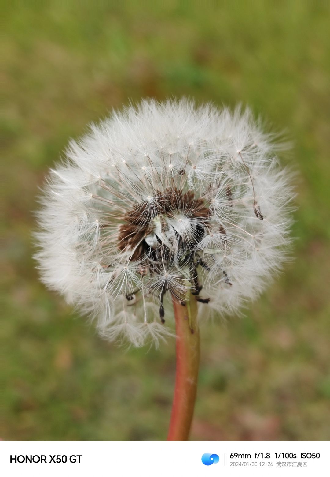 荣耀X50GT日常随拍，是真的含糊不了一点