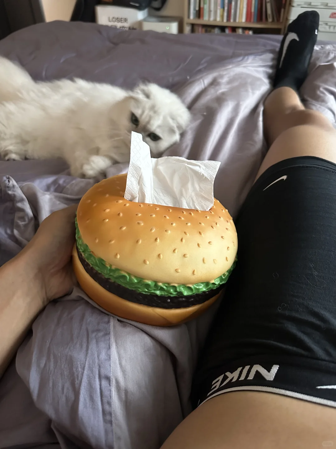 我会让我的猫咪上床｜我会一辈子爱Ta