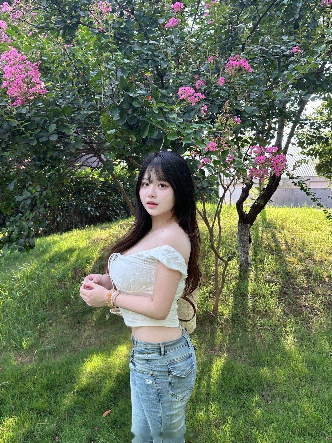 🌳 