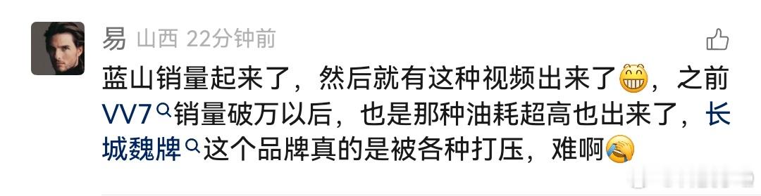 魏牌蓝山好可怜每一年的懂车帝都能测出问题今年好不容易跑完了死亡之路又出现了刹车片