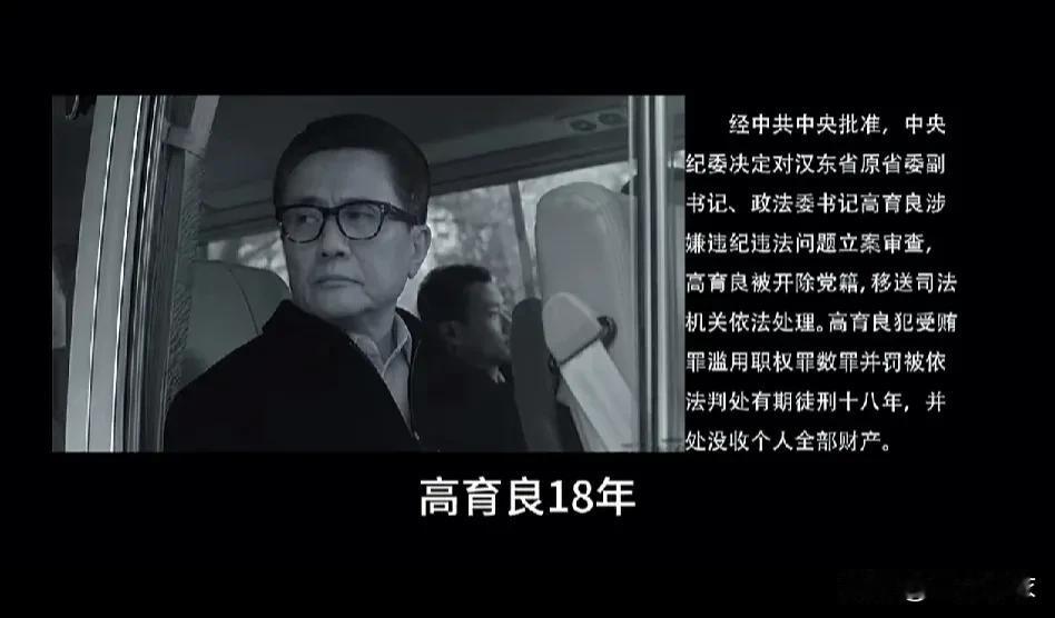 今天在抖音刷了一遍《人民的名义》的解说。
是部好剧。
最大的反派是副国级的赵立春