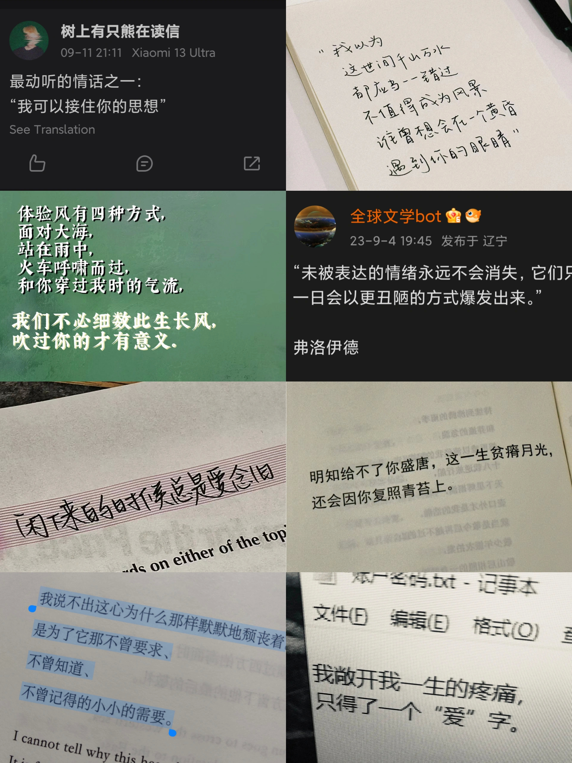 “这一生贫瘠月光，还会因你复照青苔上” ​​​