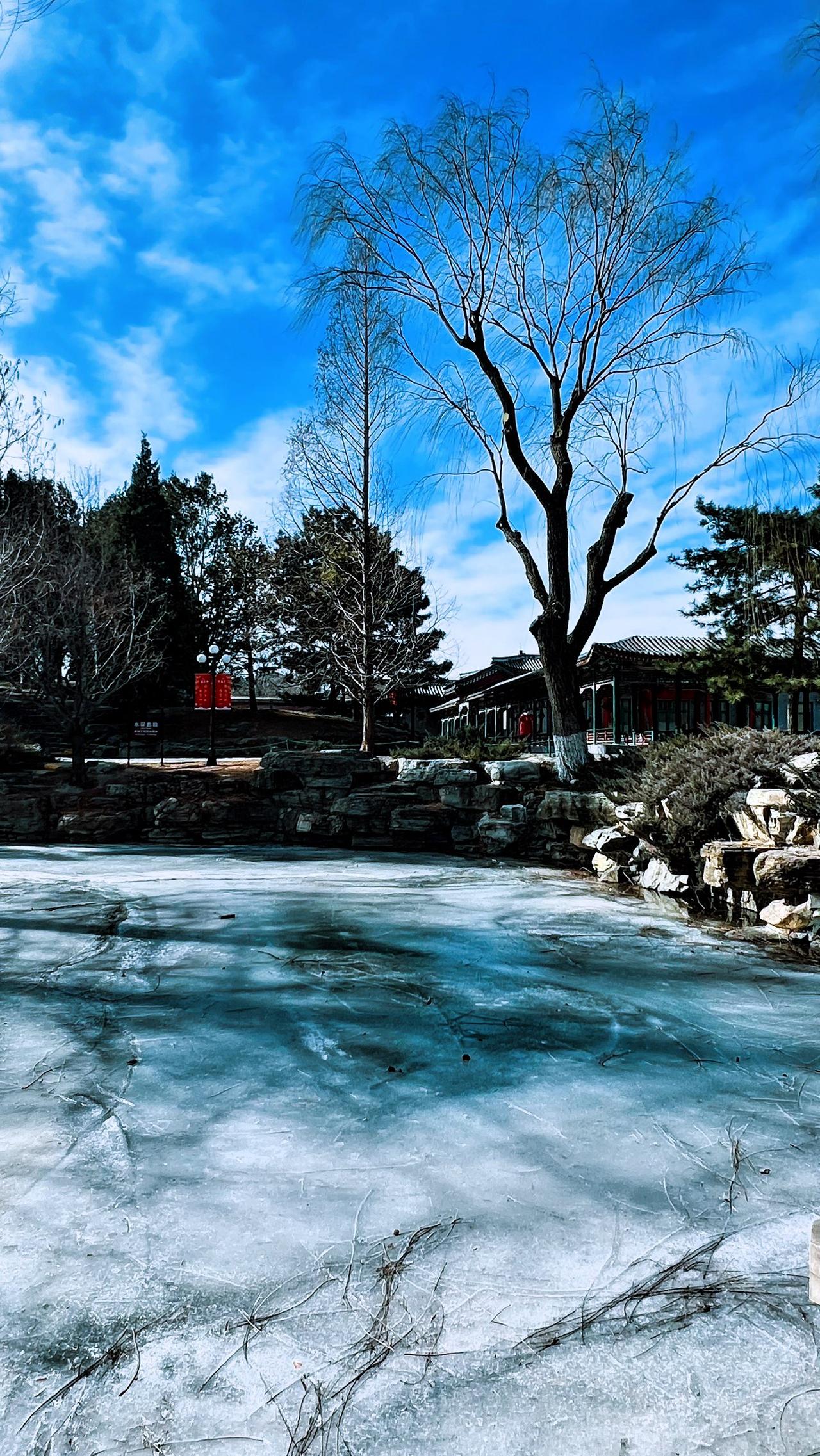 【原创】冬日静谧，冰封湖面，枯树屹立，古韵悠长。