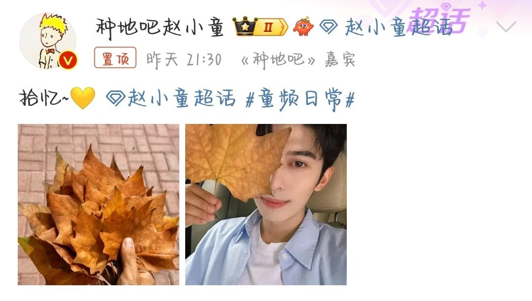 #赵小童拾忆# 赵小童拾忆～浪漫的小童在收集秋天[哇] ​​​
