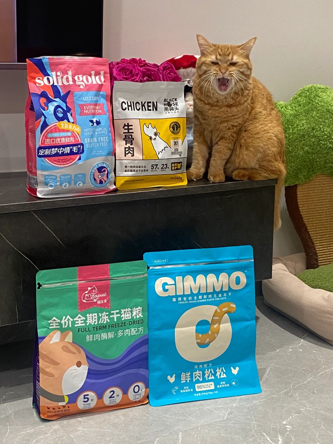 养猫家庭｜空袋冲冲冲