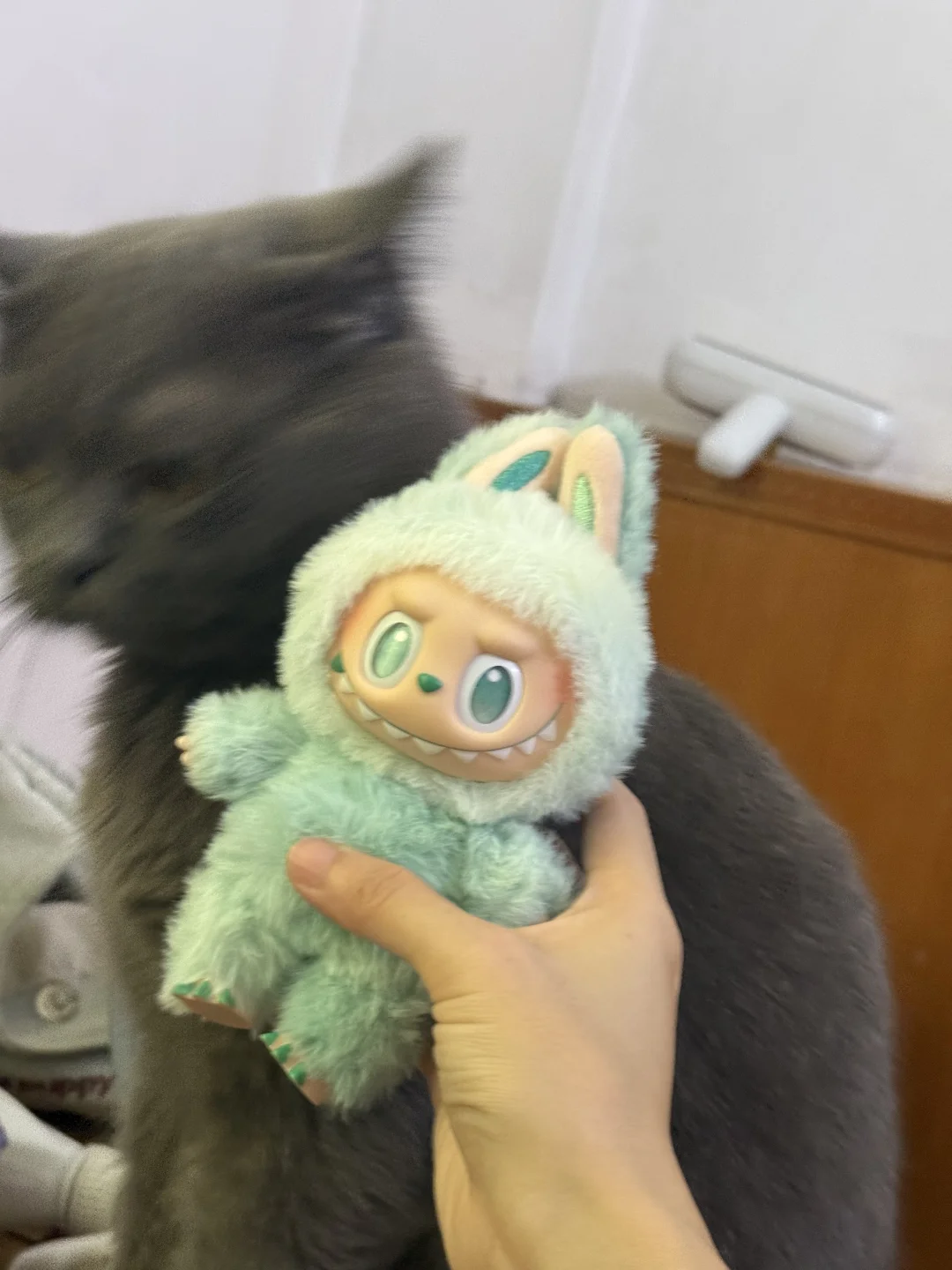 labubu猫都嫌弃你