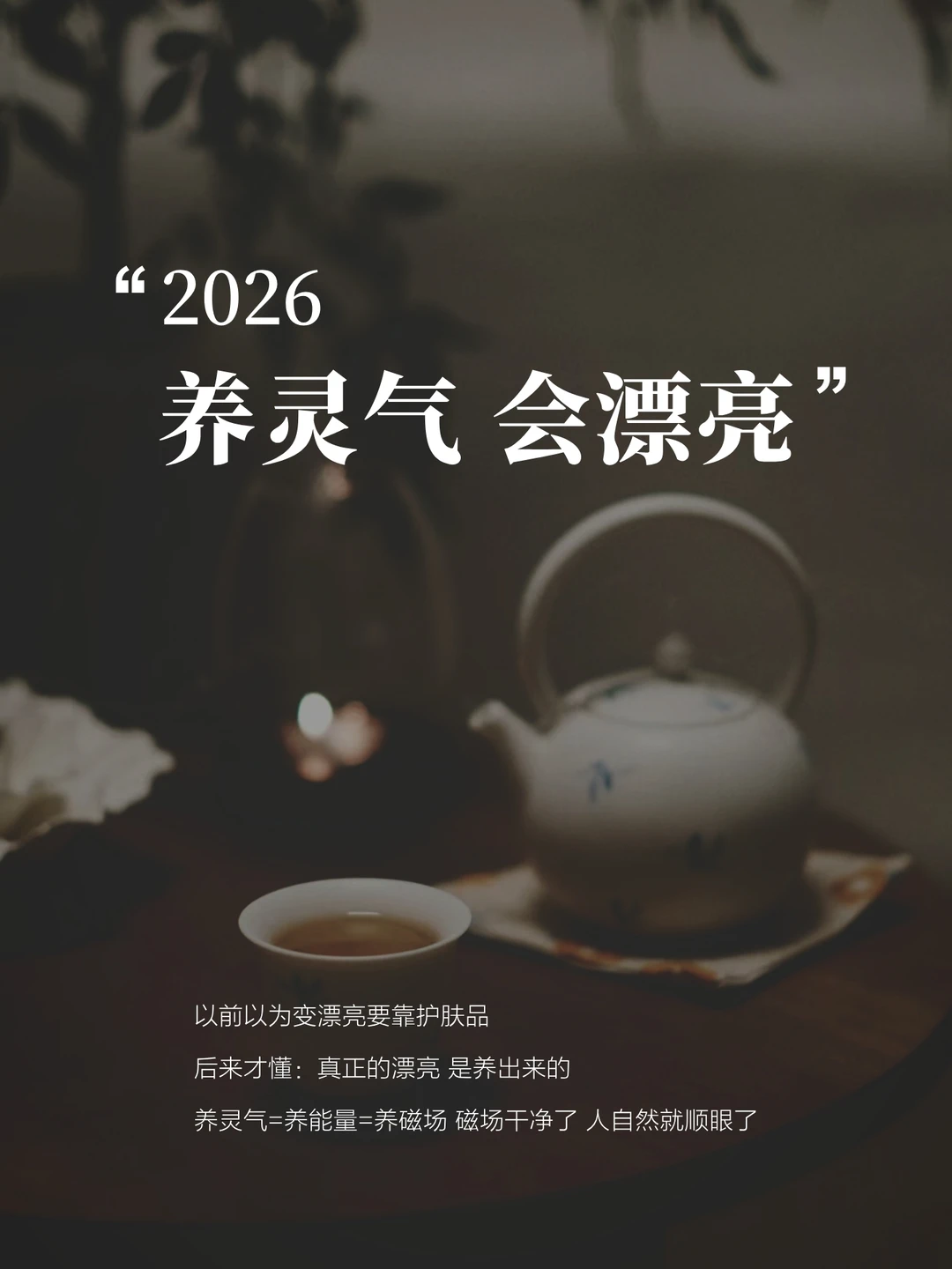 2026，一起养灵气提升能量