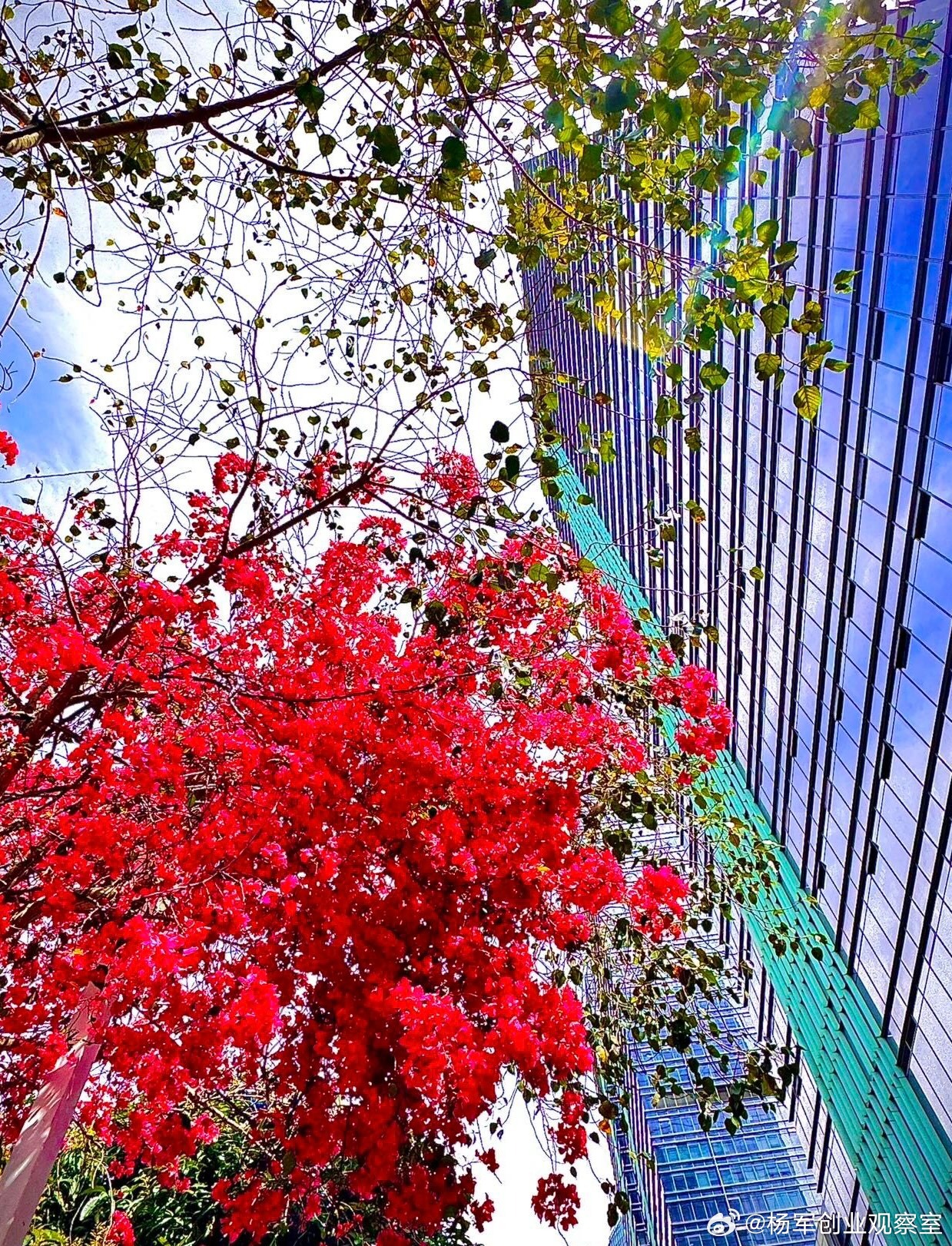 某集团开拓新业务板块，面临经典困境——老板着急，团队观望。怎么办？他们启动了“同