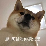 燕崽热聊体育