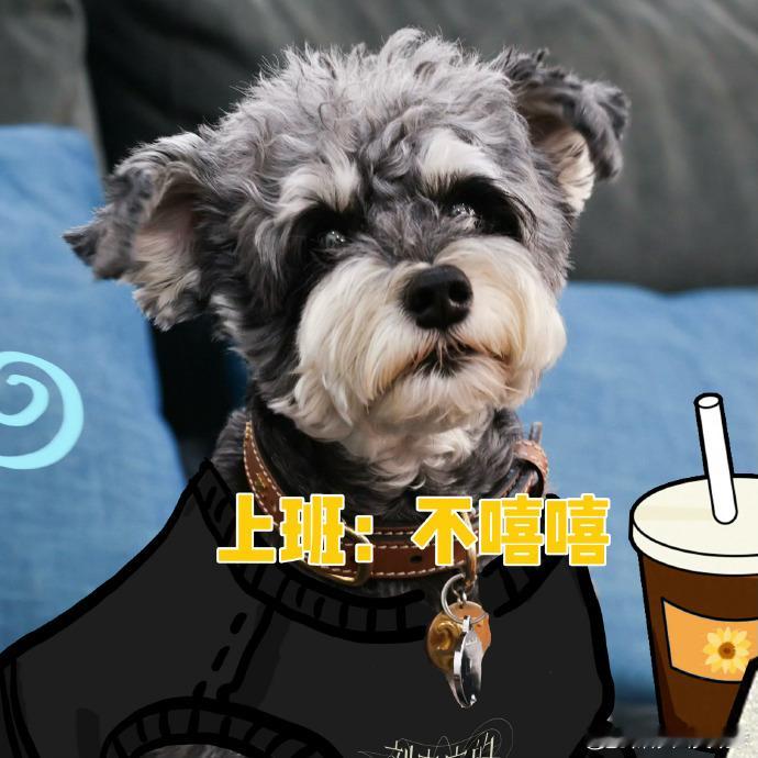 刘宇宁给呆米的工作报酬 恭喜呆米正式上岗！十一期间全面接管内容发布工作，宁哥用桃