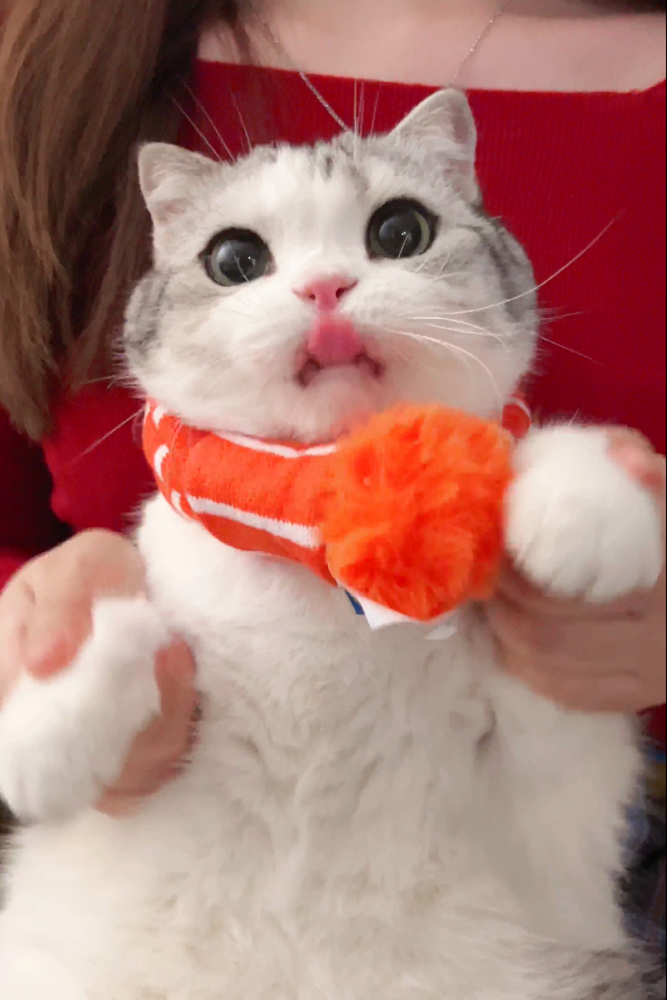 泡芙的🍠更新咯！超级可爱的！截图都在这里啦，可以去看看视频版[爱慕][爱慕][