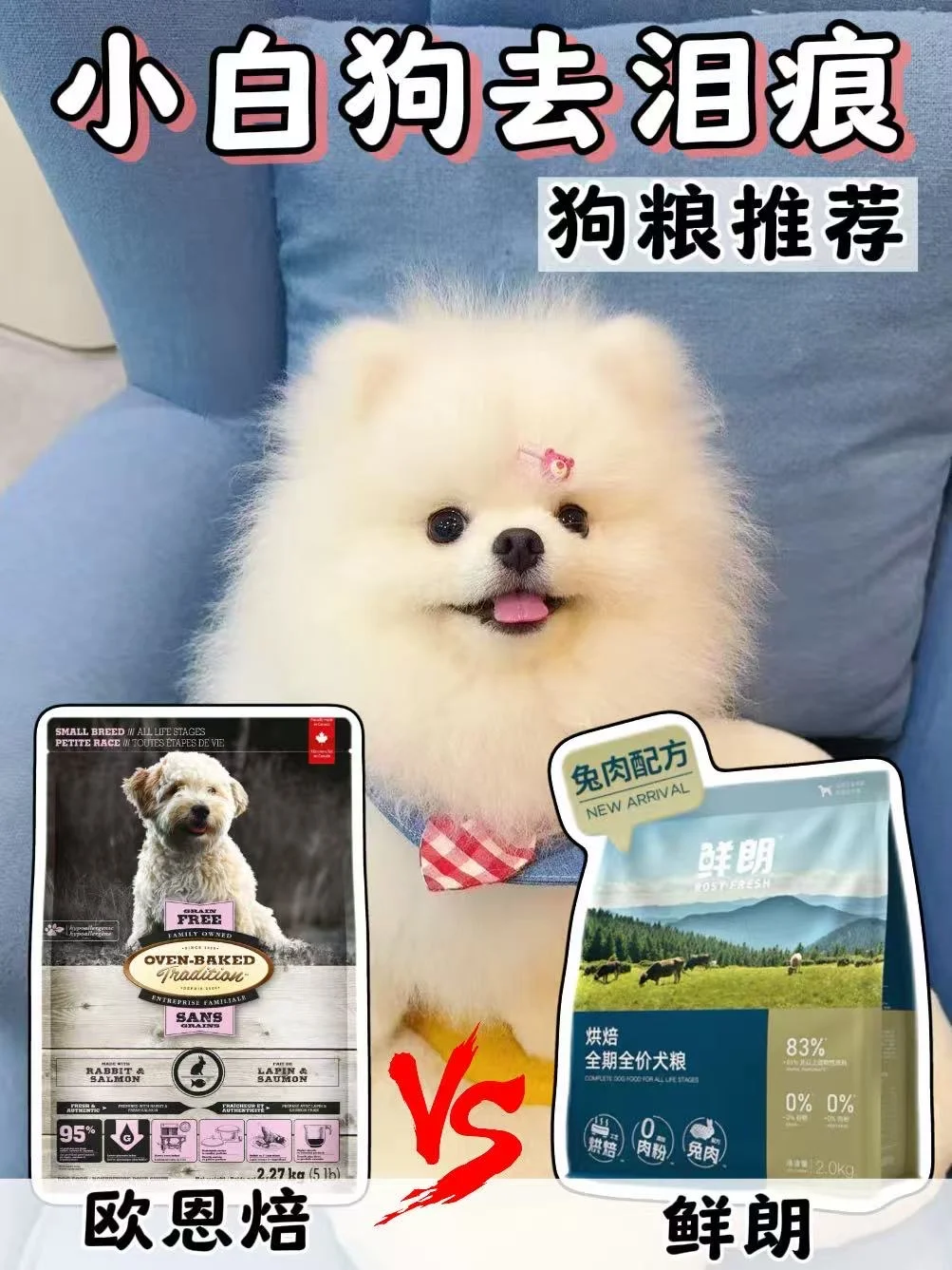 小白狗真的离不开低敏粮