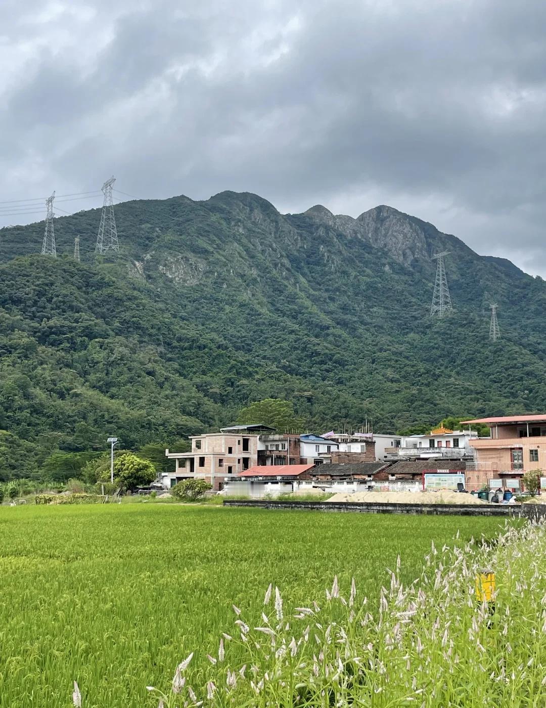 清远跑山｜『高田村→樟洞』💨
📍路线：高田收费站（乐广高速出口）→377省道