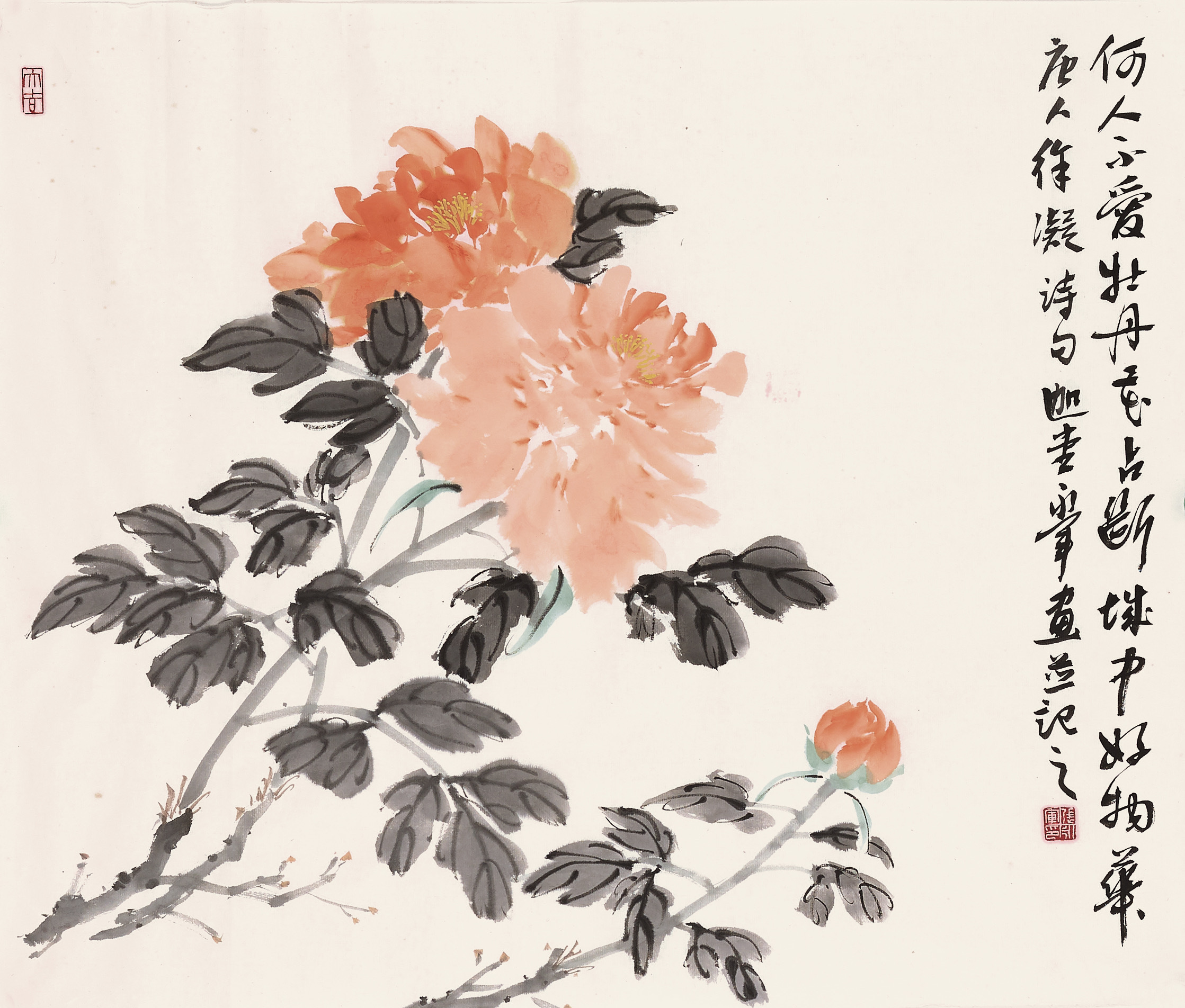 《牡丹·诗画共生》一纸水墨，牡丹与唐诗相逢。“何人不爱”的追问，化作画中两朵盛放