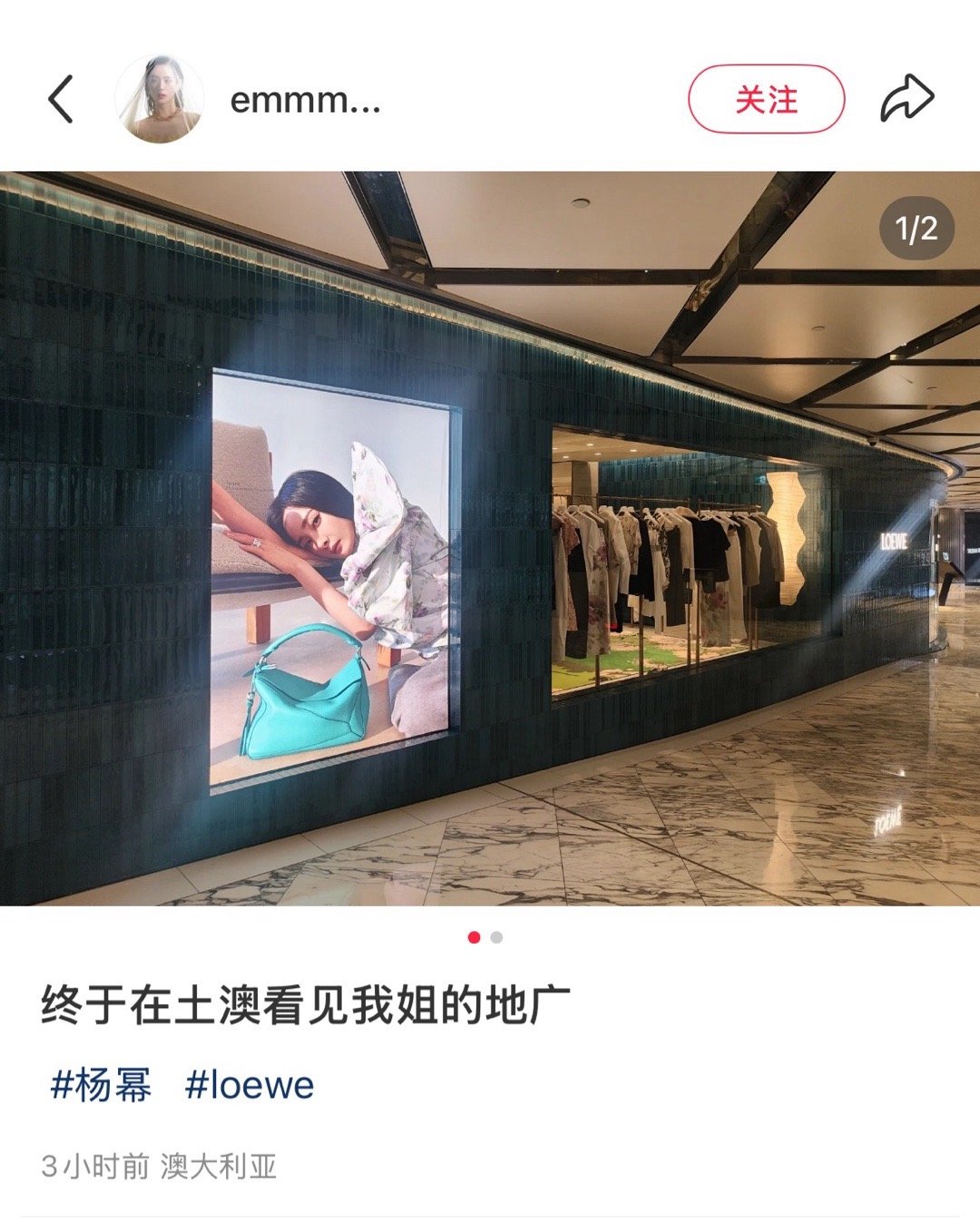 杨幂loewe罗意威全球品牌代言人 罗意威全球地广铺设国家又新增！目前澳大利亚、