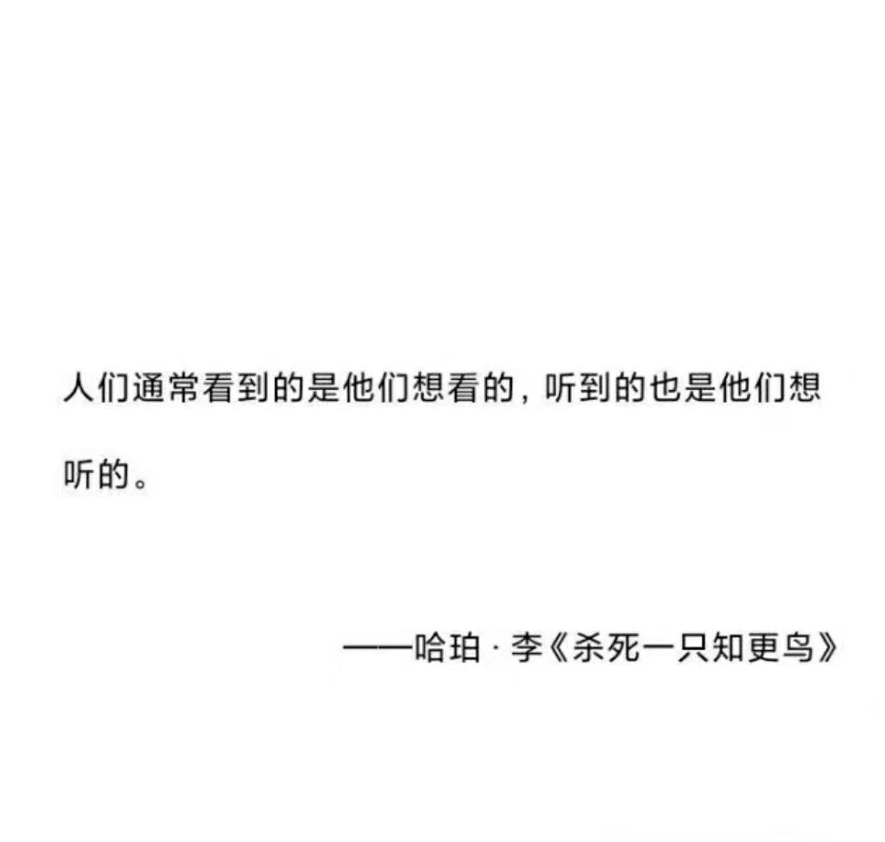 《杀死一只知更鸟》探讨偏见的摘句！