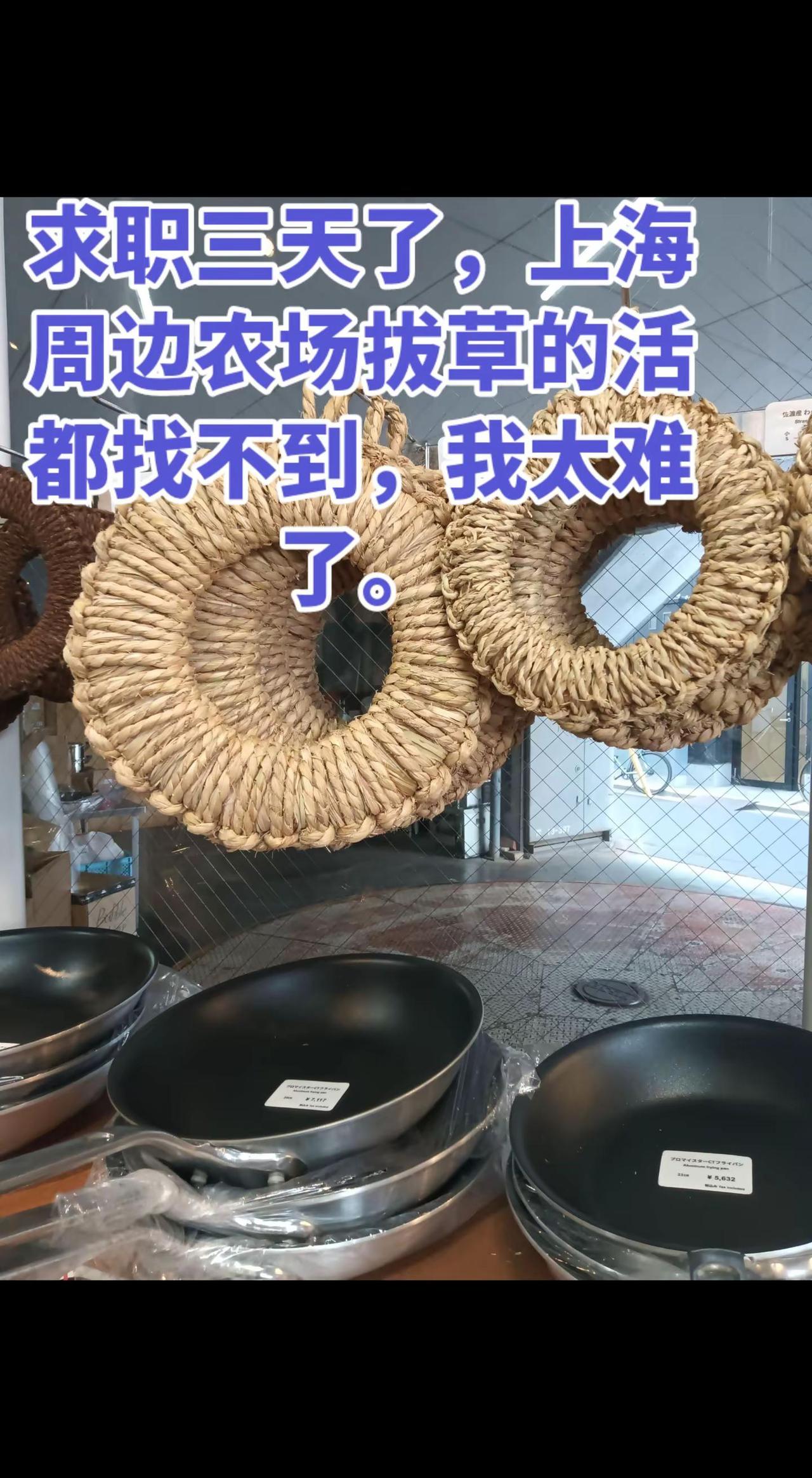 沪漂不易