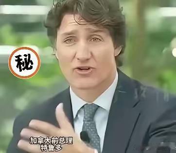 加拿大前总理特鲁多，在新加坡CNBC访谈中毫不讳言地称：当年特朗普政府频频威胁加