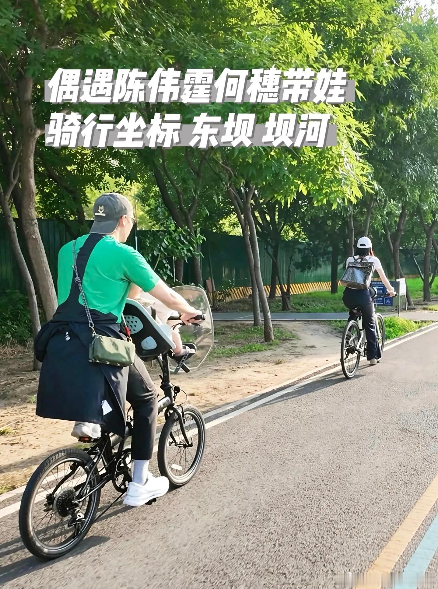 陈伟霆已经过上了周末遛娃的奶爸幸福生活…