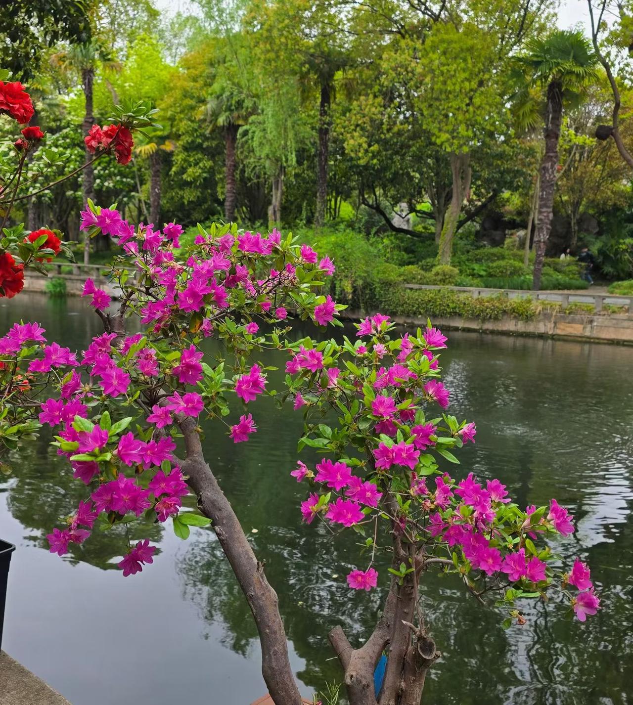 57岁，体检结果出来，除了有点脂肪肝，甲状腺桥本炎，空腹血糖6.1，其他指标还算