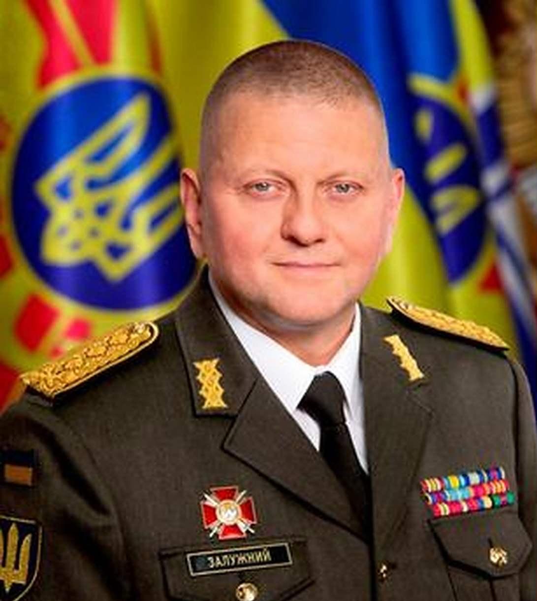 德国揪出北溪真凶，扎卢日内成替罪羊？幕后黑手还有谁。
德国最近宣布抓了个乌克兰男