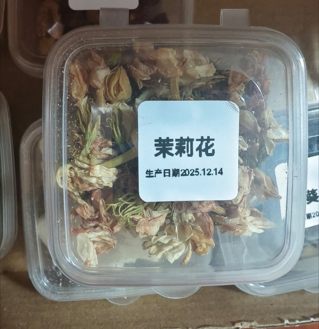 仓鼠还吃茉莉花