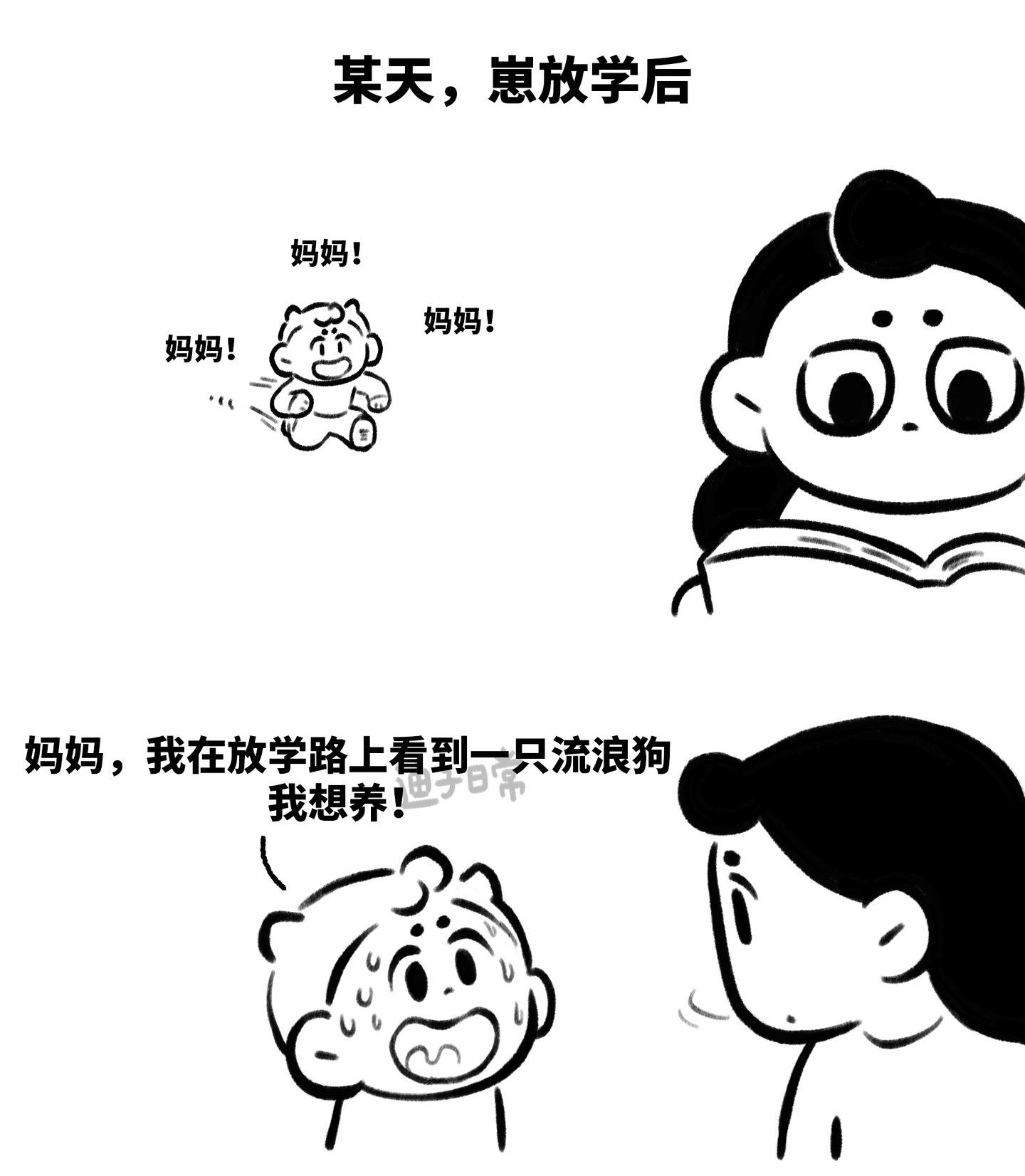 养狗的年纪。