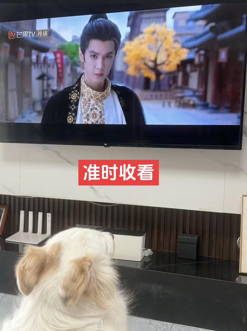 小阿zan  azan和哥哥对视一笑