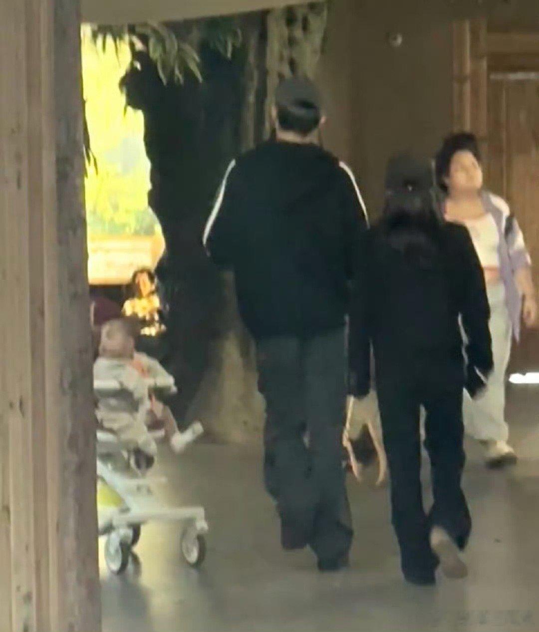 杨旭文 陈若琳可以这样发微博：“刚刷到杨旭文和陈若琳订婚的瓜还愣了一下——这俩看