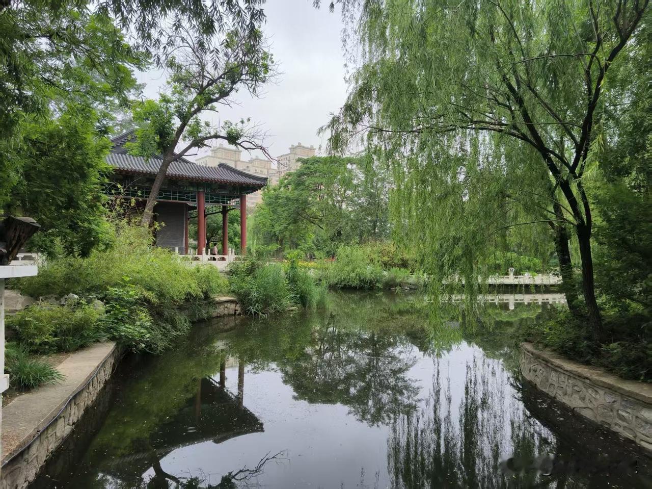 我的今日状态：😁轻松愉快
我这里的天气：🌧下雨
清晨的人民公园，空气清新舒爽