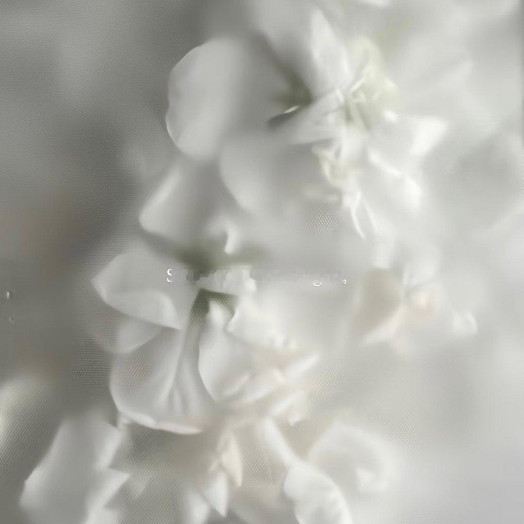 女头𝟮  专栏 · 女头