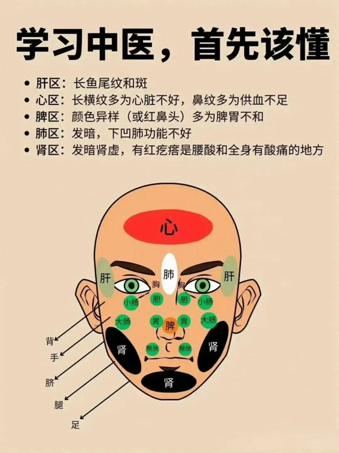 #看脸就知道五脏好坏#学中医，面诊要懂得的，你就是别人眼中高手小白学中医，要懂得
