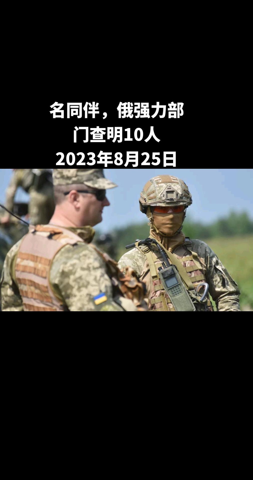 俄罗斯卫星通讯社格尼切斯克（赫尔松州）8月25日电 俄罗斯强力部门的一名工作人员