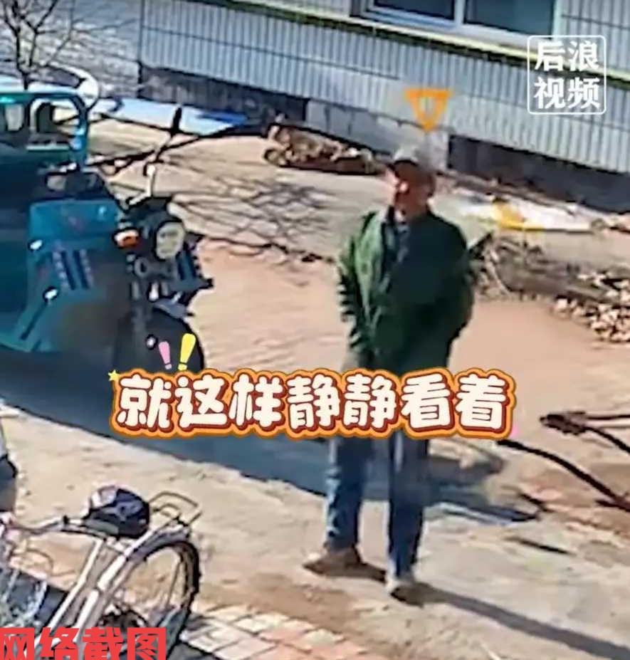 辽宁有大爷听到自家院落有动静。

刚开始以为是来了什么人，结果出门一看竟然是头野