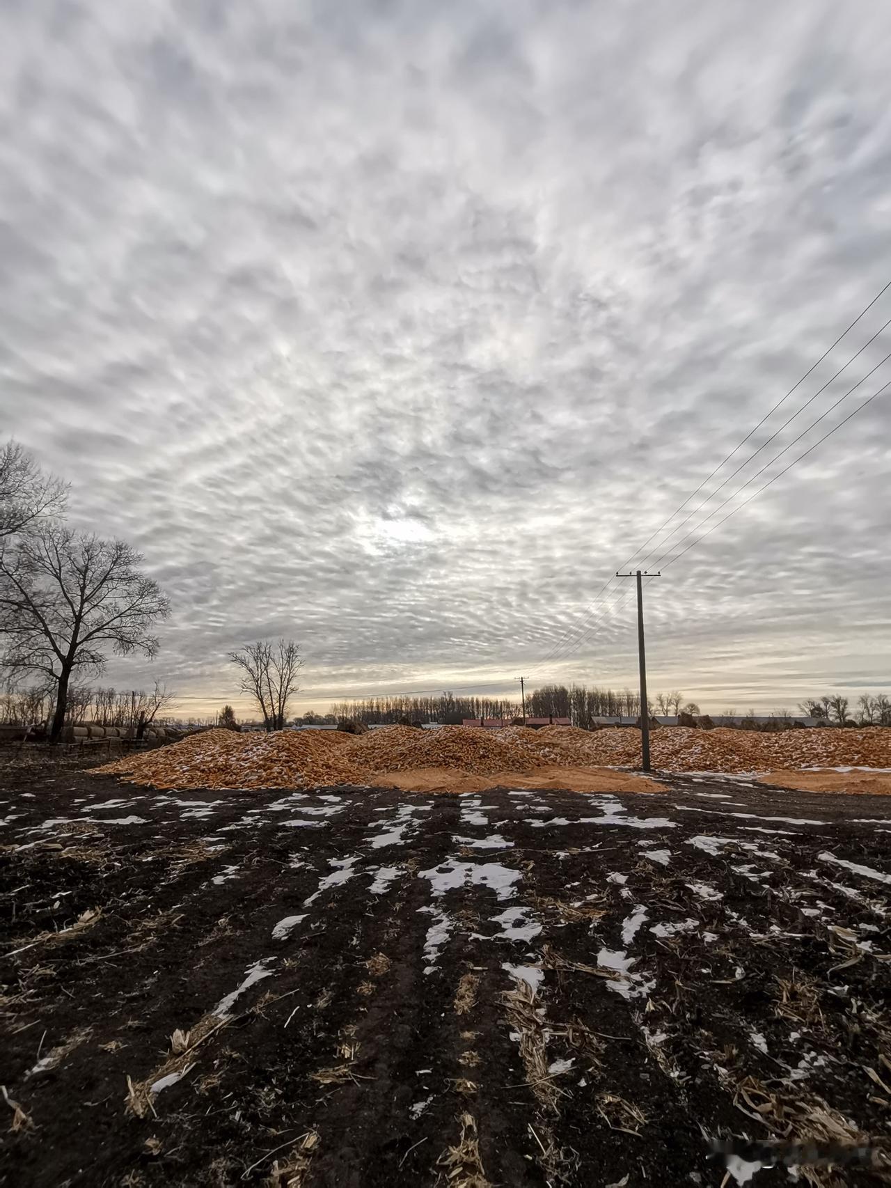 家人们谁看吐了！某荒野求生真人秀的画面直接让我血压飙升——女选手生理期硬扛高强度