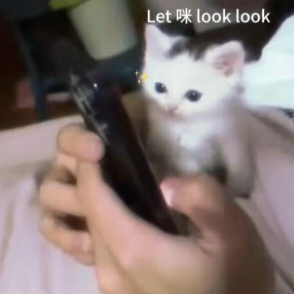 果然还是得从鱼儿本人那里窥探她的生活啊~ 